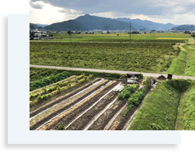 工場のある土地の風景写真